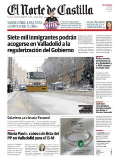 QUITANIEVES PARA DESPEJAR PARQUESOL