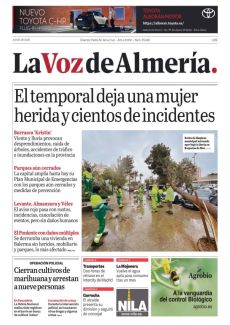 EL TEMPORAL DEJA UNA MUJER HERIDA Y CIENTOS DE INCIDENTES